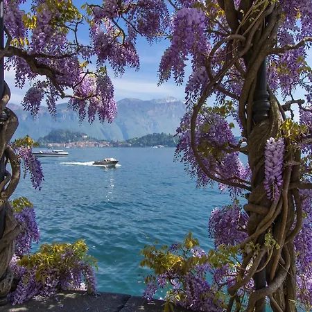 Residenza - Mimosa Appartamento *
